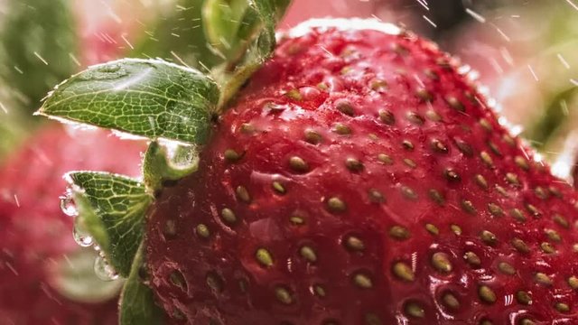brumisation fraise gros plan slowmotion