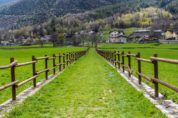 Fototapeta na wymiar Path with fence and garden