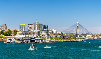 View of Pyrmont district and the Anzac Bridge in Sydney