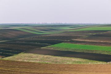 Fototapeta na wymiar Agriculture land