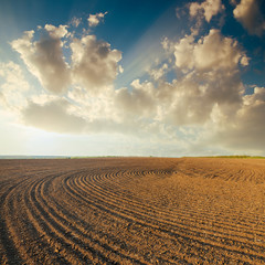 Fototapeta premium sunset in clouds over plowed field