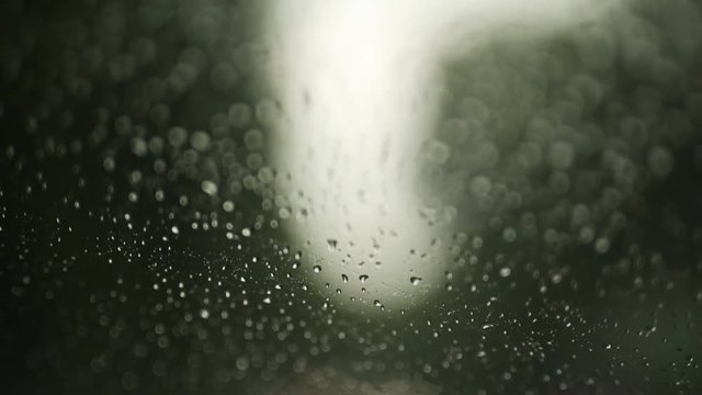 Rain drops on the window on rainy day. Green blurry background. Car window