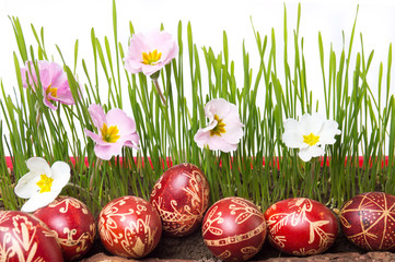 Wax painted Easter eggs and wheat