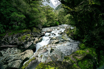 The Chasm in Fiordland National Park, NZ