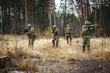 Norwegian Rapid reaction special forces FSK soldiers in field uniforms patrolling in the forest...