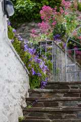 Fototapeta na wymiar Staircase decorated with flowers in front of residential home in Salcombe, Devon, UK
