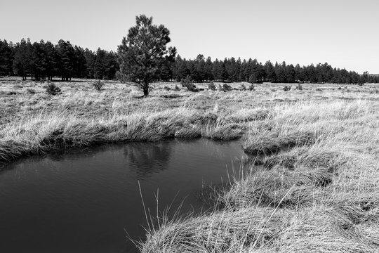 Lake Mary Arizona