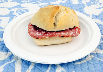 Simple salami sandwich on paper plate.