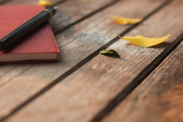 Pen and notebook memory in the summer.