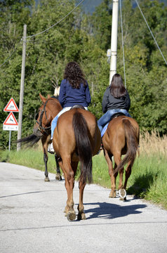 &Alpha;&mu;&alpha;&zeta;ό&nu;&epsilon;&sigmaf; Amazonen Amazzoni Amazons Amazones Amazonas Amazonki Амазонки Amazonlar أمازونيات アマゾーン Amatsonit 亞馬遜人 Chiến binh Amazon 아마조네스 אמזונה Amazzone
