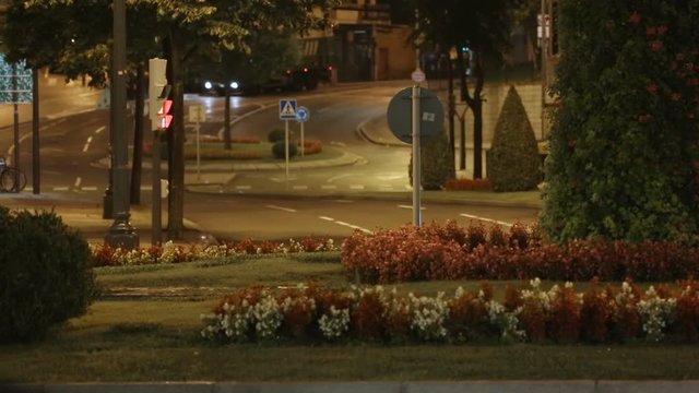 Active traffic in city street at night, busy urban life, green lawns and flowers