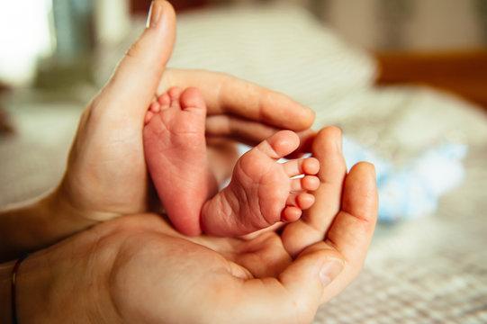 Baby feet in parent hands.