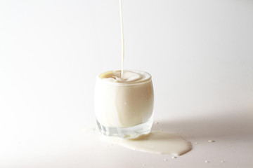 Milk / Milk is a pale liquid produced by the mammary glands of mammals. It is the primary source of nutrition for infant mammals before they are able to digest other types of food