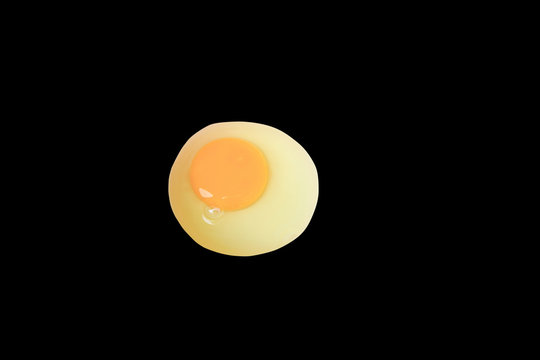 egg  isolated on black background and clipping path