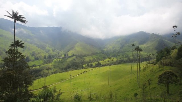 Clouds move through the Valle Del Cocora near Salento, Colombia. 