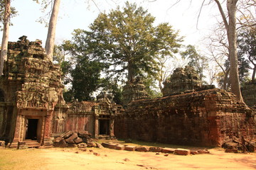 Ta Prohm Temple, Cambodia