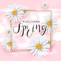 Pink spring background with realistic chamomile flower. Vector illustration