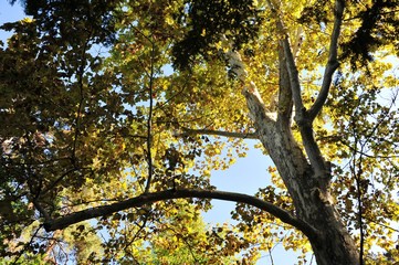 Fototapeta premium ブレッド湖