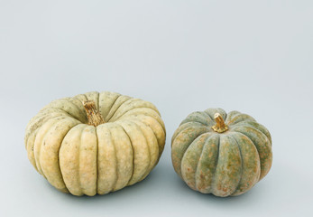 Two big pumpkins isolated on grey background