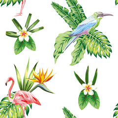Fototapety  Kompozycja kwiatów i roślin tropikalnych ptaków na białym tle