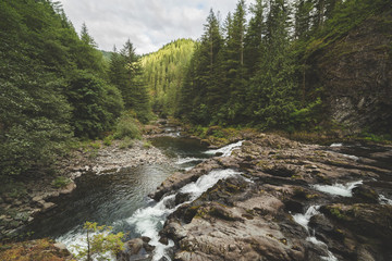 River in a Lush Forest