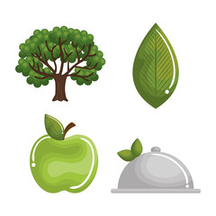 natural and organic set icons vector illustration design