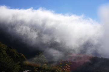 アドリア海に沿ってシベニクまで