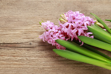 Hyacinth flowers on wooden background