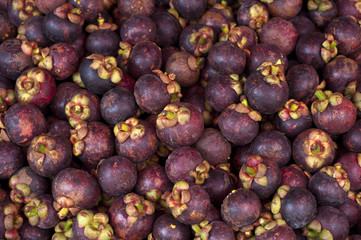 Mangosteen