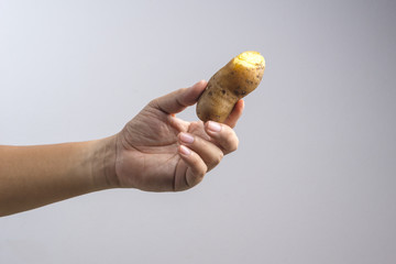 Hand holding steamed or boiled potato