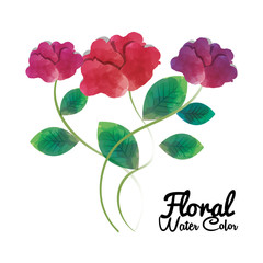 floral water color decoration vector illustration design