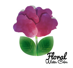 floral water color decoration vector illustration design