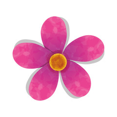 Fototapeta premium floral water color decoration vector illustration design