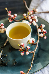 Green tea and peach blossom as a spring concept