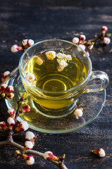 Green tea and peach blossom as a spring concept