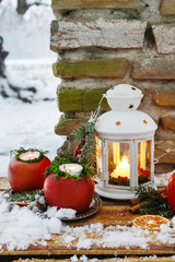 White lantern in winter garden