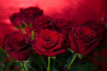 bouquet of red roses on red background