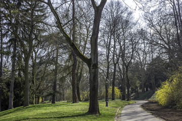 Frühling im Mainzer Volkspark
