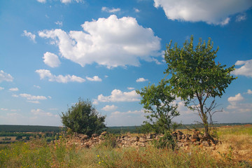 Rural landscape