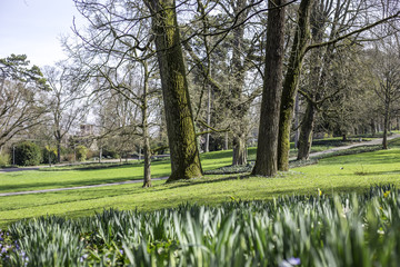 Frühling im Mainzer Volkspark