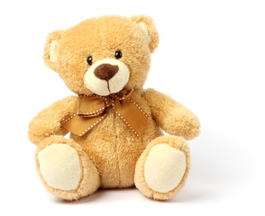 toy teddy isolated on white background