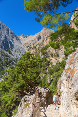 Trail in the Samaria Gorge, the largest gorge in Europe. Southwestern part of the island of Crete, Greece. Famous gorge in the White Mountains.
