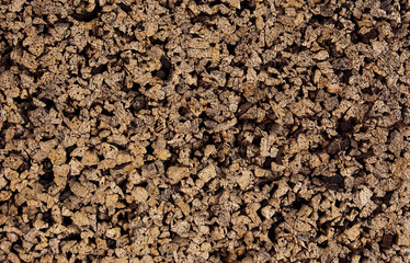 Close-up of Corkboard texture