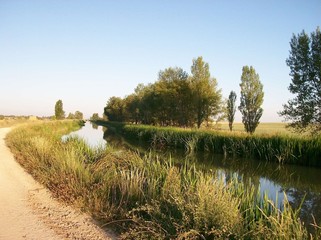On the road towards santiago de compostela