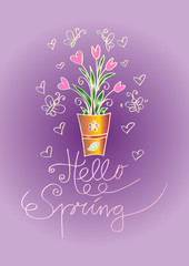 Hello spring tulips in flower vase