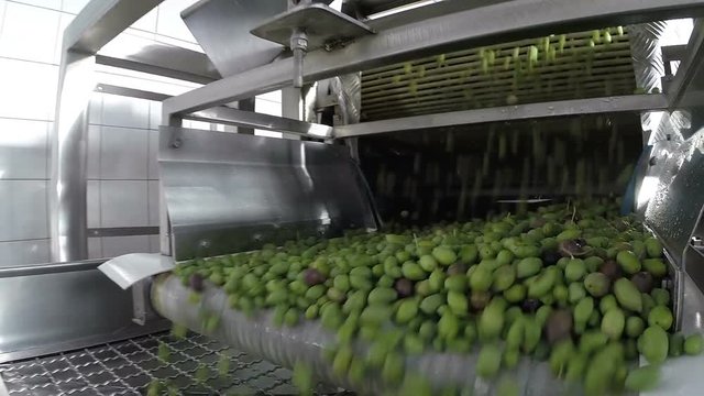 The process of olive washing in a modern oil mill
