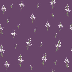 Seamless pattern with flowers Matthiola or evening primrose. 