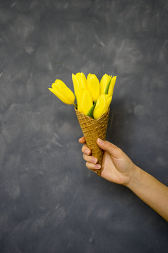 Yellow tulips in ice cream cone in girls hand on cement background