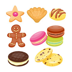 Different cookie homemade breakfast bake cakes isolated and tasty snack biscuit pastry delicious sweet dessert bakery eating vector illustration.