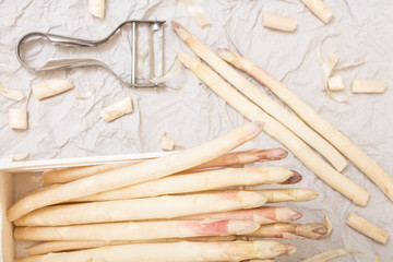 Bunch of white asparagus in box, on crumpled paper with metallic peeler.